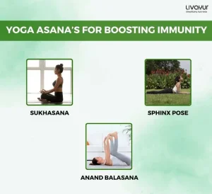 3 Best Yoga Asanas to Boost Your Immunity 1