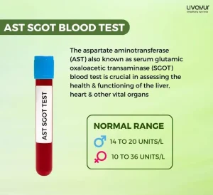 ast sgot normal range