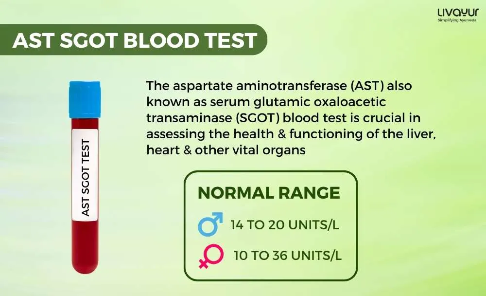 ast sgot normal range