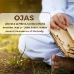 All You Need to Know About Ojas 1