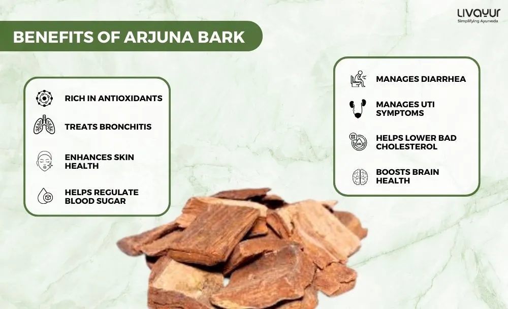 arjuna bark