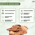 Arjuna Bark Benefits Uses Side Effects More