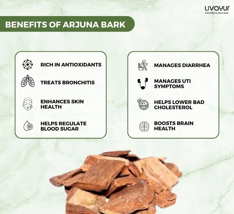 Arjuna Bark Benefits Uses Side Effects More