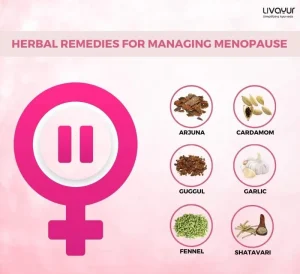 Ayurveda To Manage Menopause 1