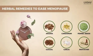 Ayurveda for Womens Common Health Problems