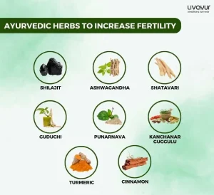 Ayurvedic Herbs That Can Increase Fertility 1