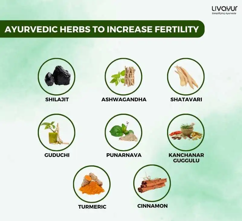 Ayurvedic Herbs That Can Increase Fertility 1