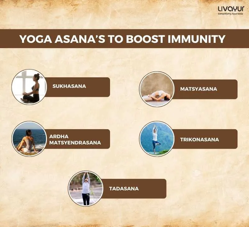 Ayurvedic Tips to Boost Immunity 1