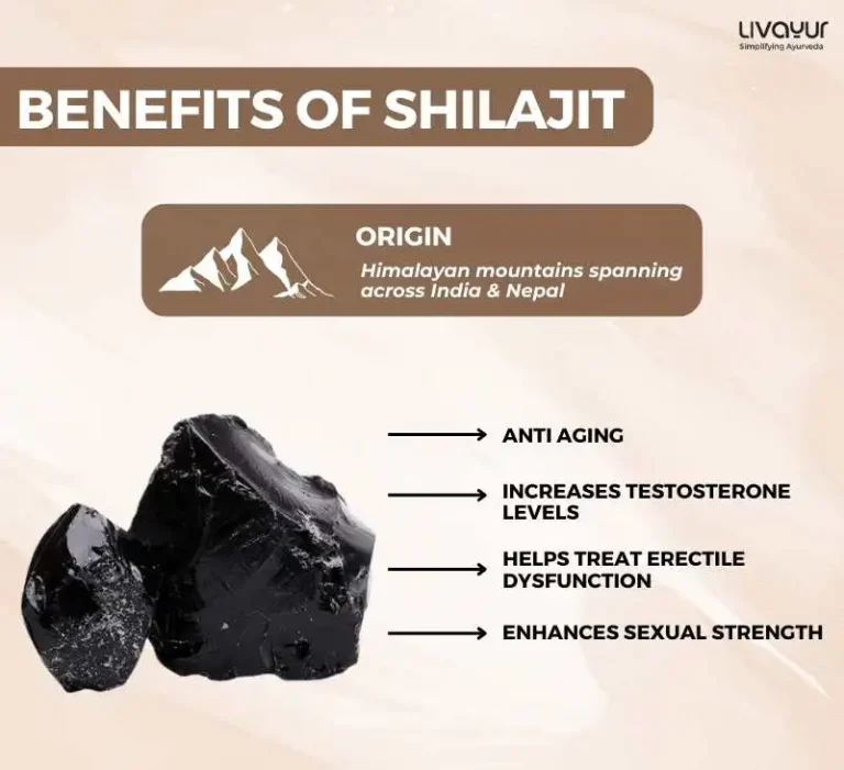 Can Shilajit Boost Vitality in Men?