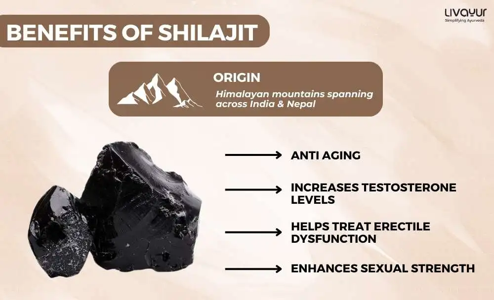 Can Shilajit Boost Vitality in Men