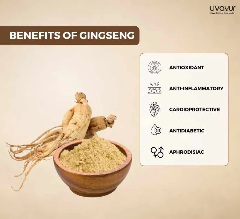 Ginseng Benefits Uses Dosage Side Effects More 1