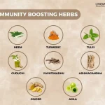 Herbs That Help Build Immunity 1
