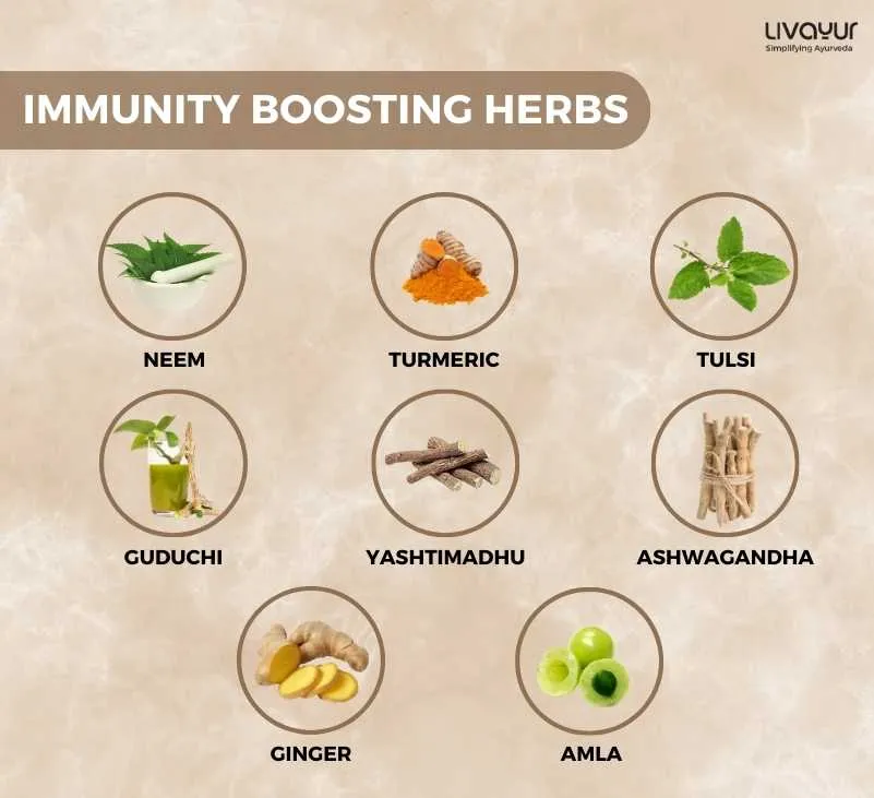 Herbs That Help Build Immunity 1