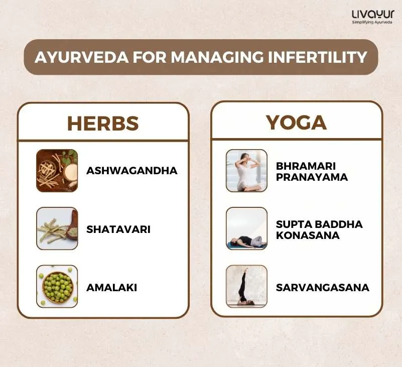 infertility - livayur
