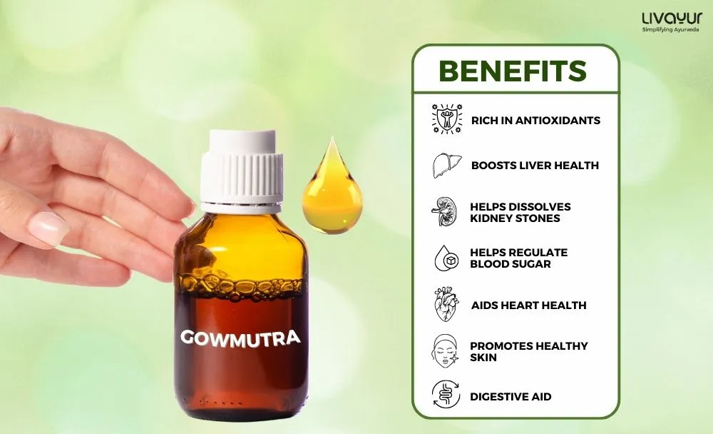 Benefits of Gomutra