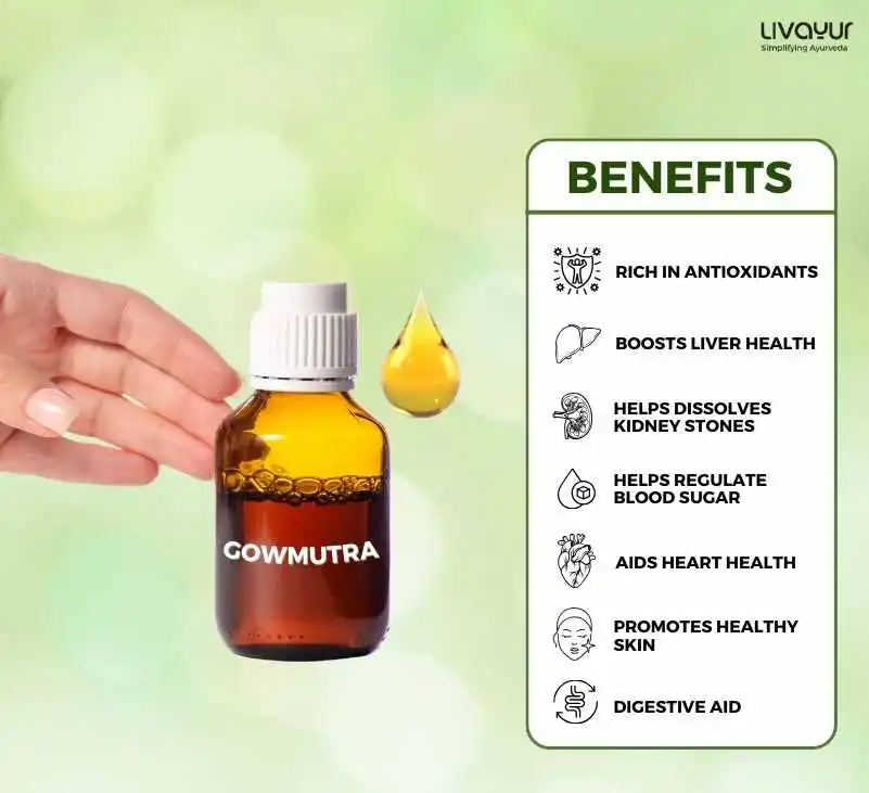 Benefits of Gomutra