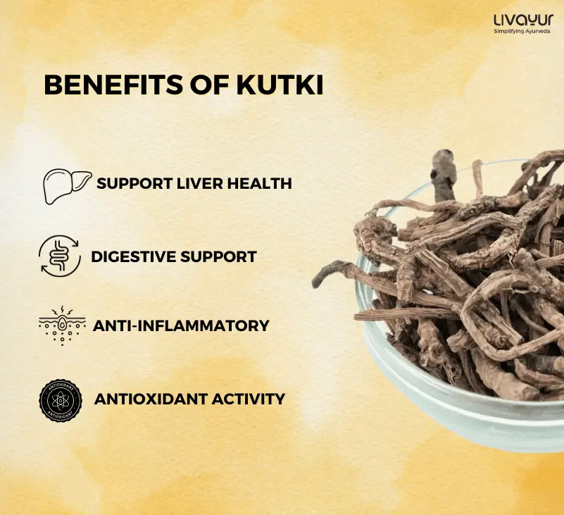 kutki - livayur