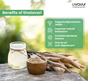 LA Shatavari