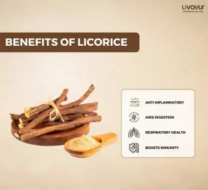 Licorice Benefits Uses Side Effects More