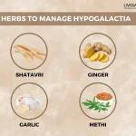 Manage Hypogalactia and Nourish Your Infant with the Help of Ayurveda