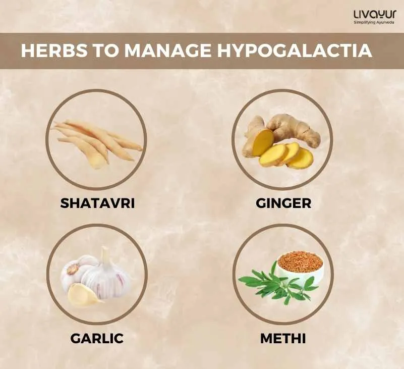 Manage Hypogalactia and Nourish Your Infant with the Help of Ayurveda