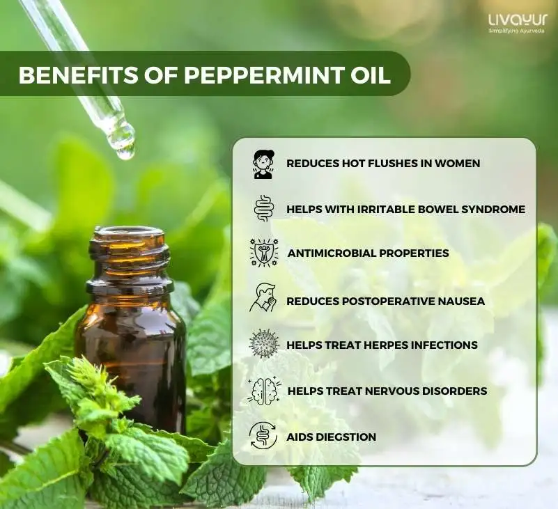 peppermint oil - livayur
