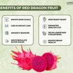 Red Dragon Fruit Everything You Need To Know About It Thumbnail