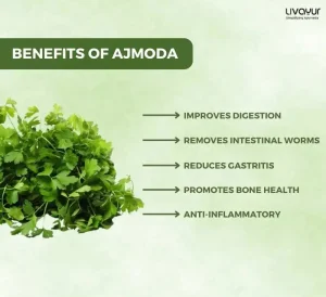 Relieve Abdominal Pain with Ajmoda