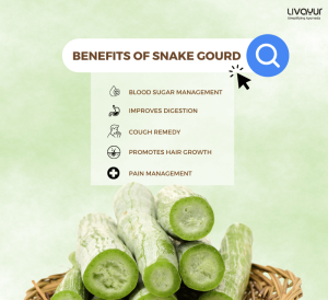snake gourd - livayur