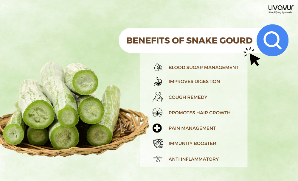 snake gourd - livayur