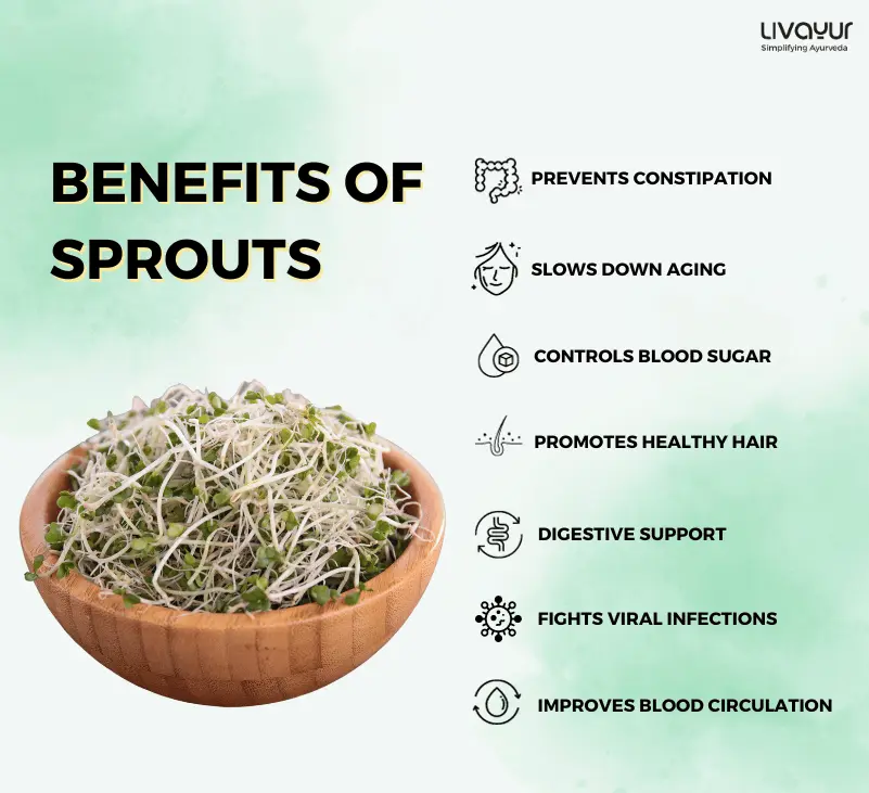 Sprouts Benefits 20 Amazing Health Benefits of Eating Sprouts 1