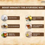 The Different Types of Immunity Innate vs Adaptive 1