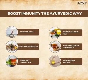 The Different Types of Immunity Innate vs Adaptive 1