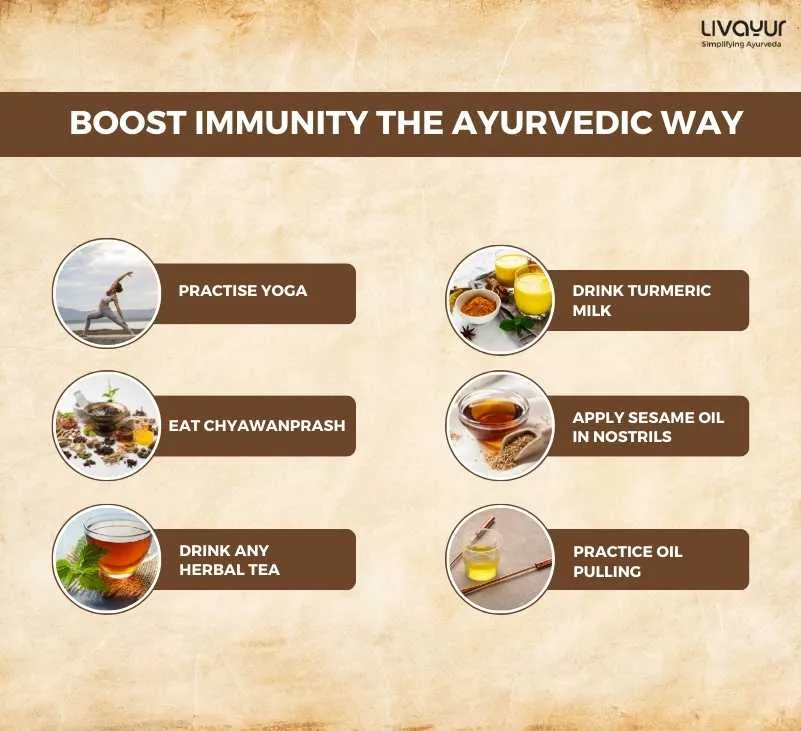 The Different Types of Immunity Innate vs Adaptive 1