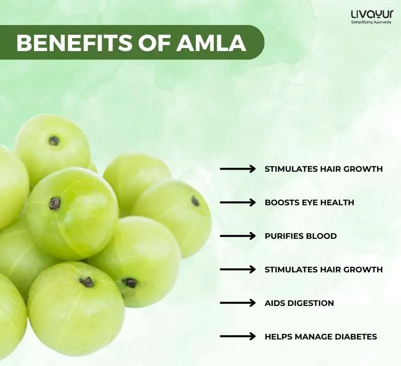 The Many Health Benefits of Amla