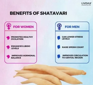 shatavari benefits