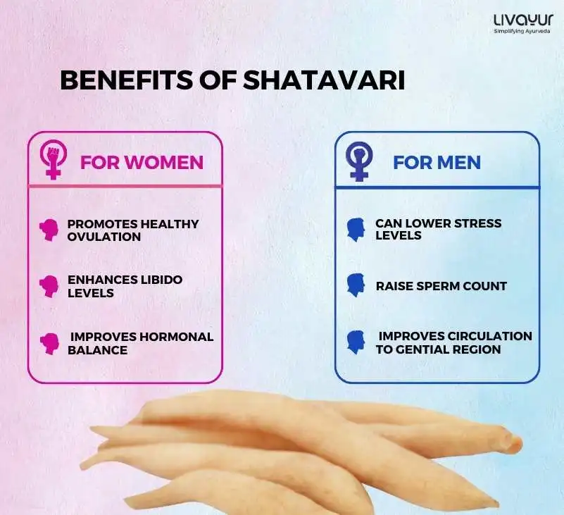 shatavari benefits