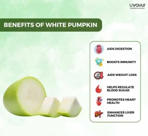 white pumpkin - livayur