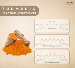 Turmeric and its Benefits in Managing Weight 1
