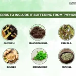 Typhoid Diet What to eat and What to Avoid in Typhoid 3
