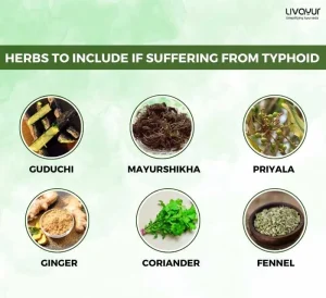 Typhoid Diet What to eat and What to Avoid in Typhoid 3