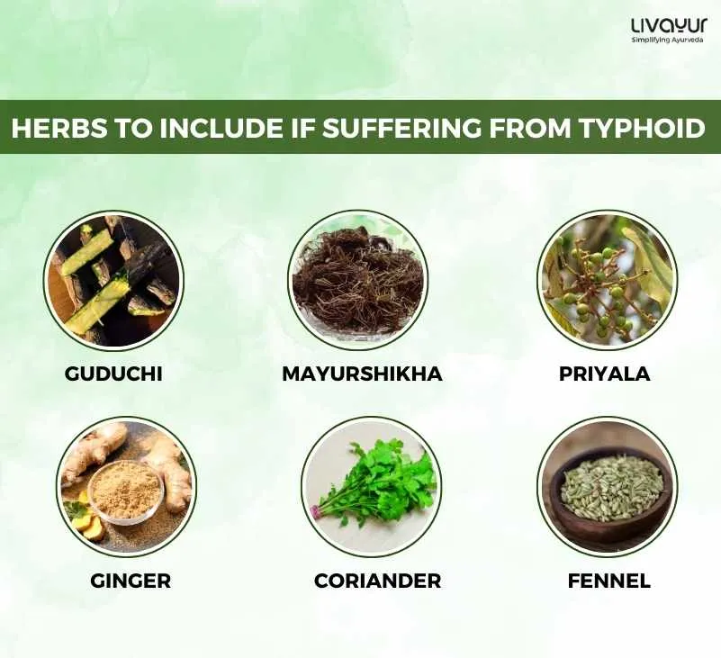 Typhoid Diet What to eat and What to Avoid in Typhoid 3