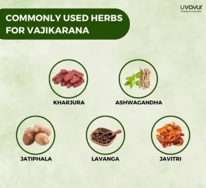 Vajikarana for Increased Sexual Capacity 1