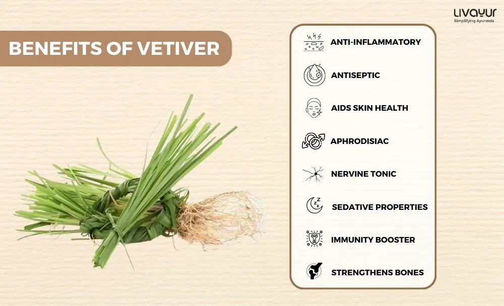 vetiver