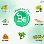 Vitamin B6 Deficiency Causes Symptoms And Treatment 1
