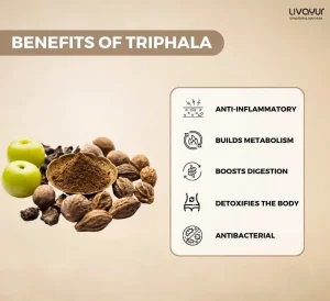 What Makes Triphala The Perfect Remedy To Support Weight Loss 1