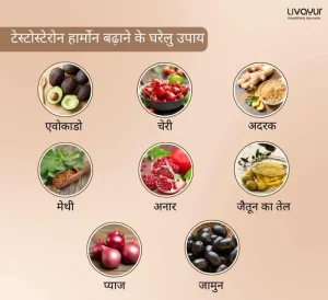 टेस्टोस्टेरोन हार्मोन बढ़ाने के 15 घरेलु उपाय 9
