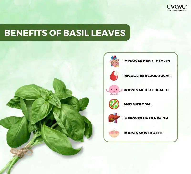 Benefits Of Using Basil Leaves