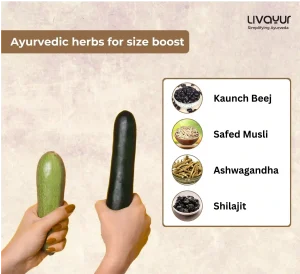 Livayur FT Images 1000x608 800 x 731 px 06