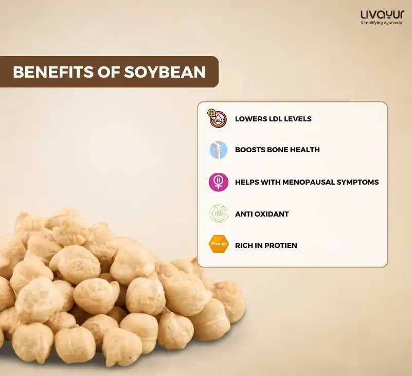 Soybean Nutritional Facts Benefits Side Effects 1